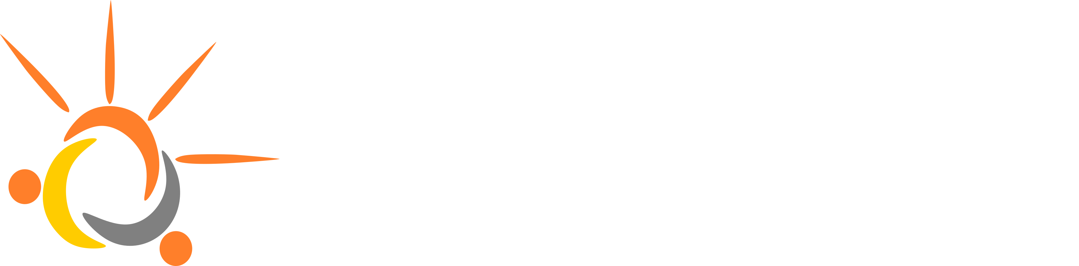 Elcaro Consulting Logo